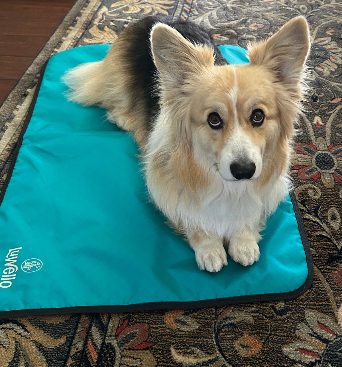 Non-Slip Settle Mat: Grip backing