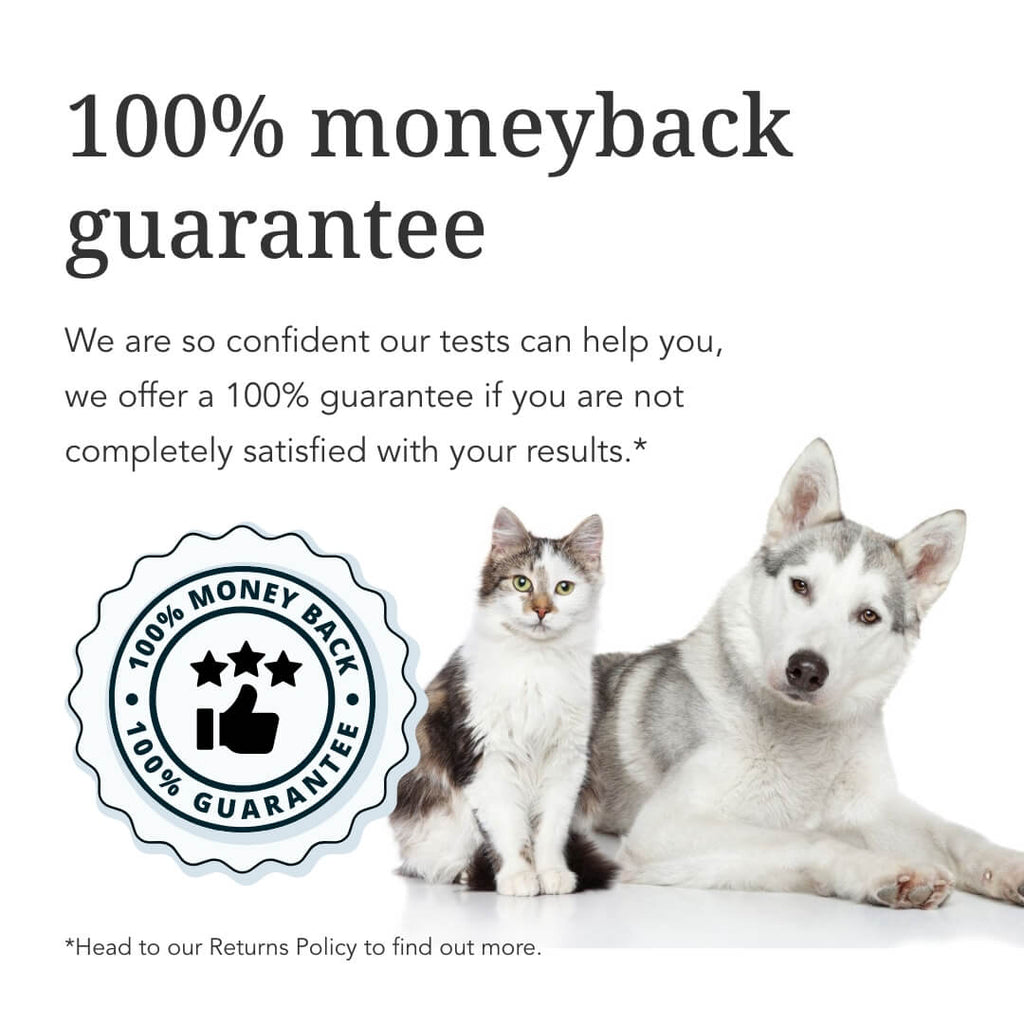 Ultimate Pet Food Sensitivity Test