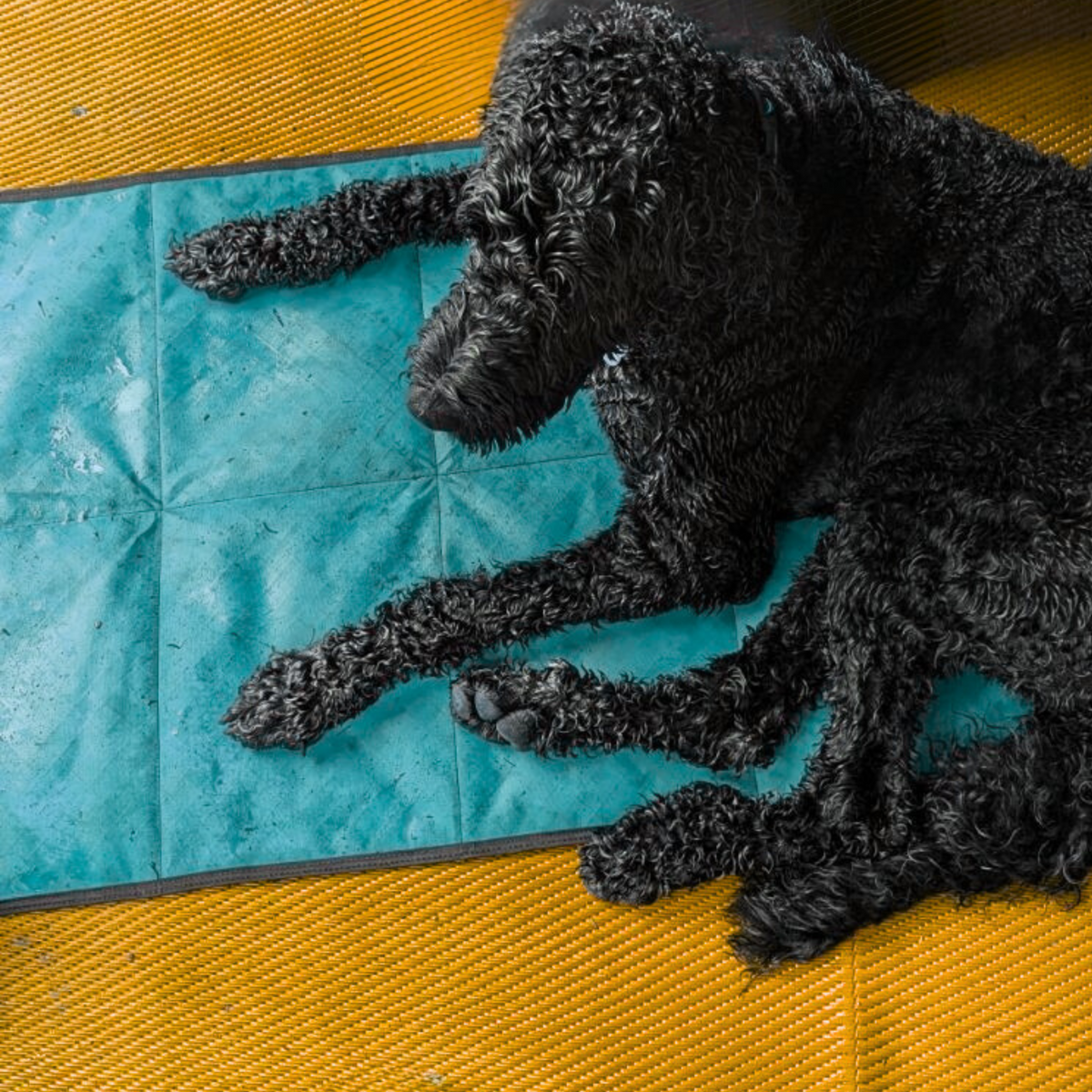 Non-Slip Settle Mat: Grip backing