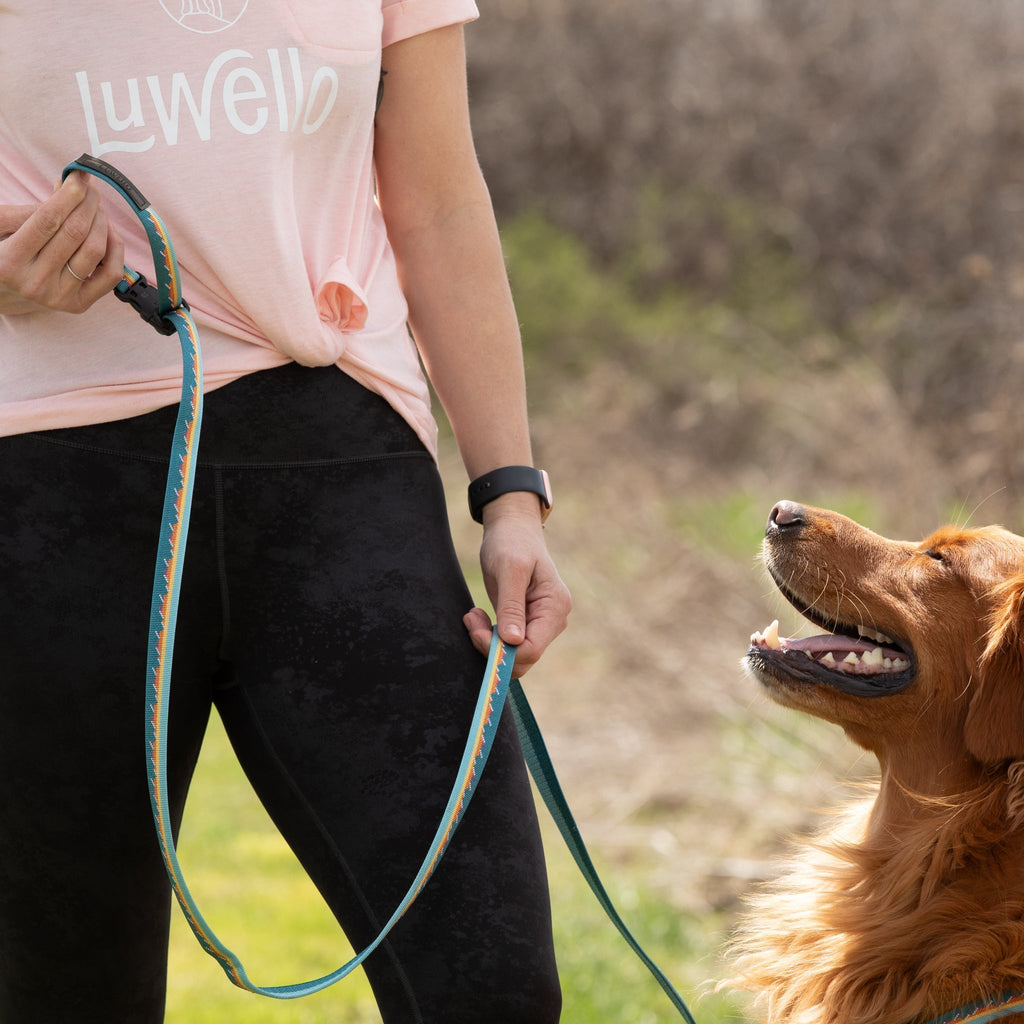 Adjustable Hands-Free Leash 3/4''
