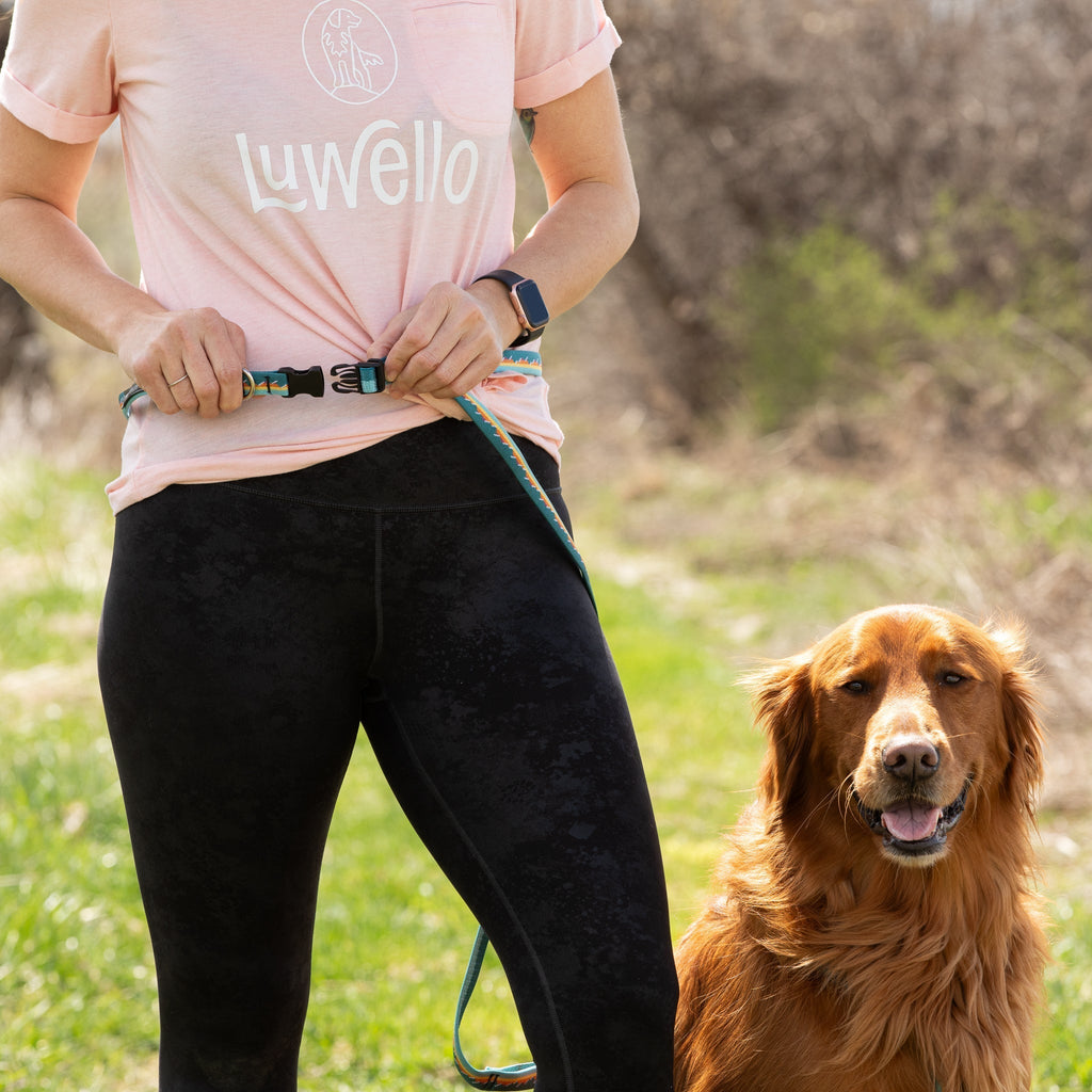 Adjustable Hands-Free Leash 1''