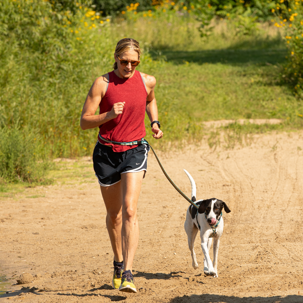 Adjustable Hands-Free Leash 1''