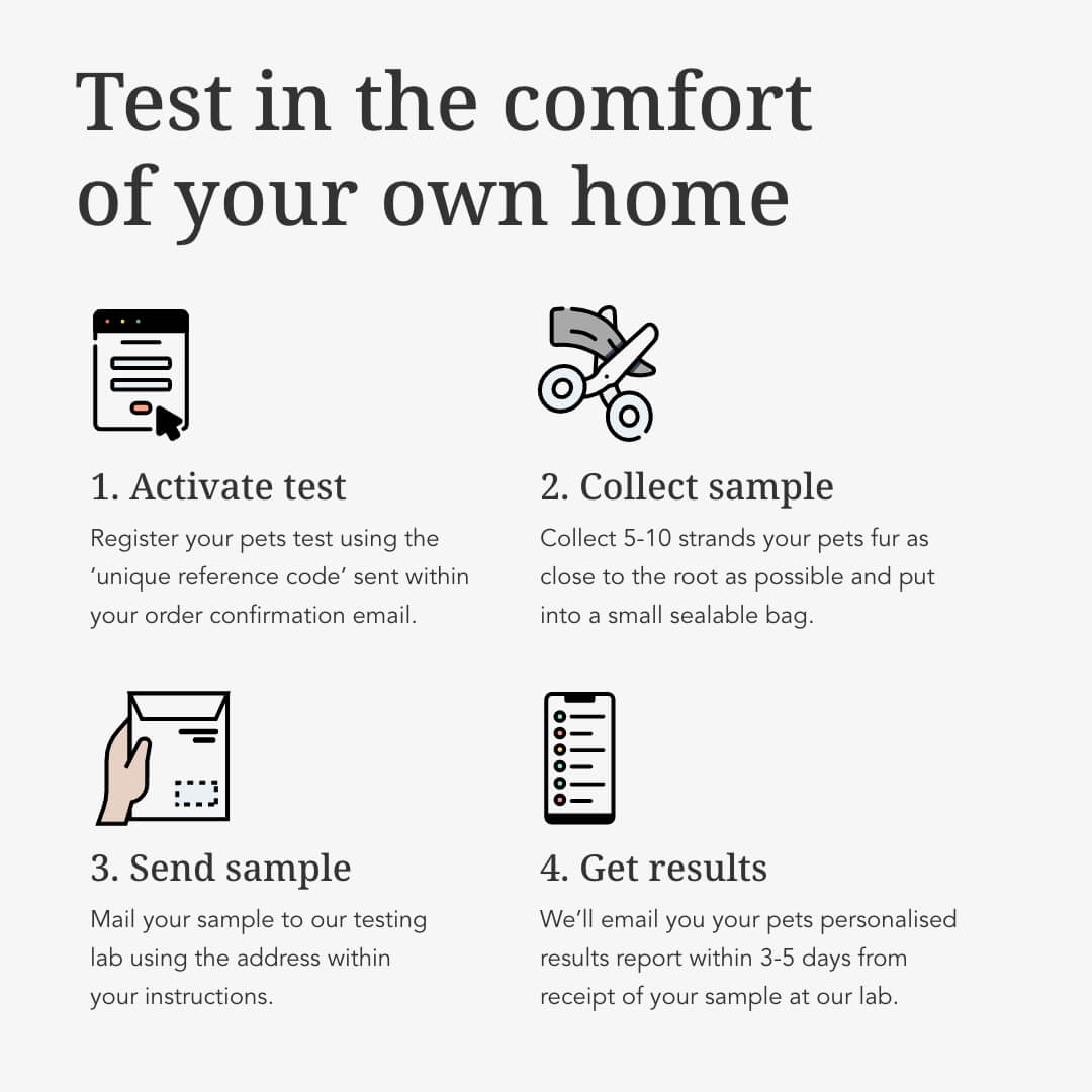 Basic Puppy & Kitten Intolerance Test