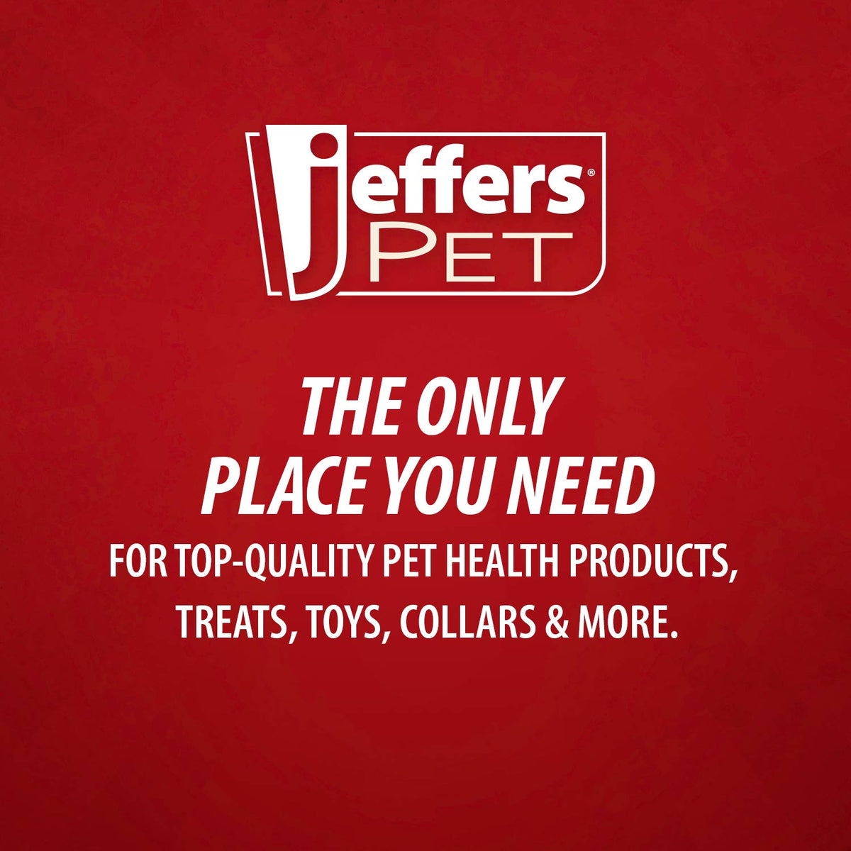 Jeffers Pet Baby Powder Tearless Conditioning Shampoo for Puppies and Kittens
