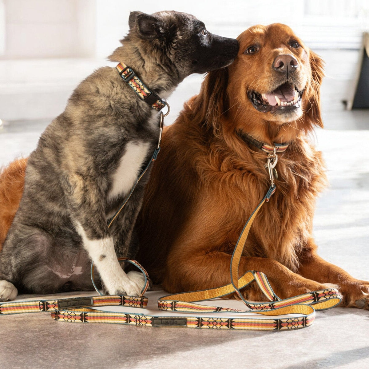 Classic Dog Leash 3/4''