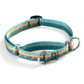 Classic Martingale Training Collar 1''