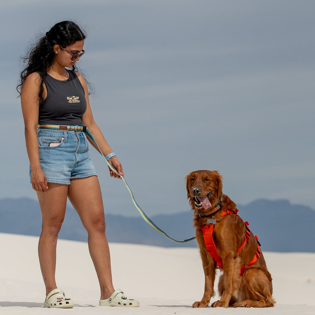 Adjustable Hands-Free Leash 3/4''