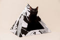 'Dark Paradise' Cardboard Cat Pyramid