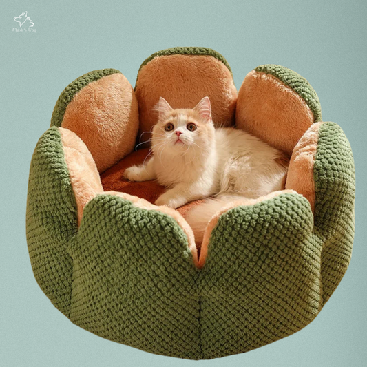 CactusBloom Luxe Pet Nest